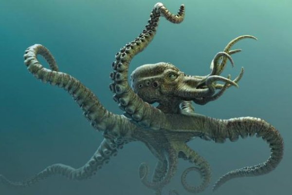 Kraken регистрация