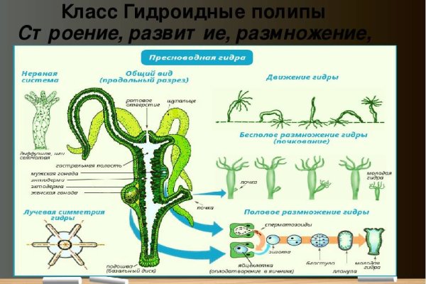 Как попасть на кракен